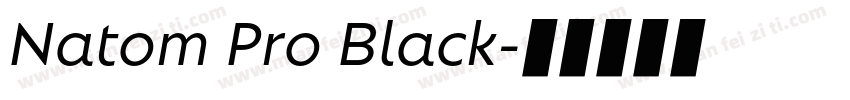 Natom Pro Black字体转换